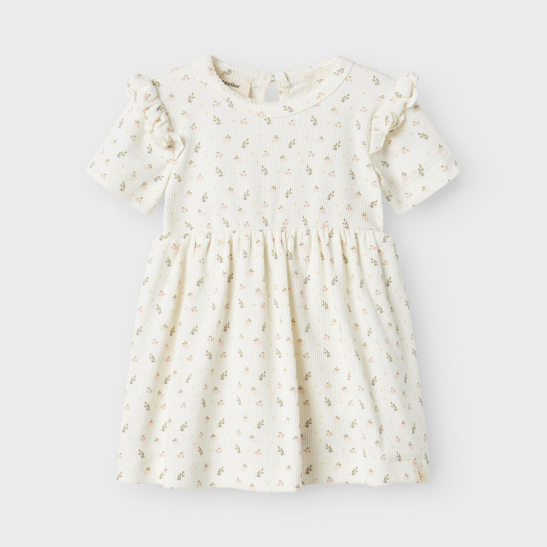 13243412_CoconutMilk_003