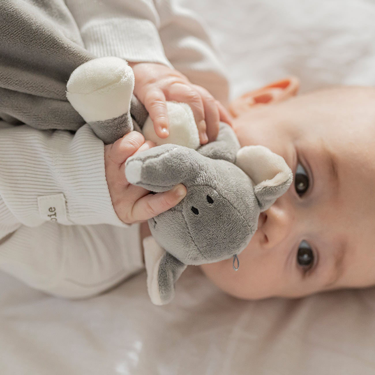 4100_BlankieBabyElefant_LOW_bf39e14a-17f6-4b1f-a422-a6eae5f8a5e0-kopiera