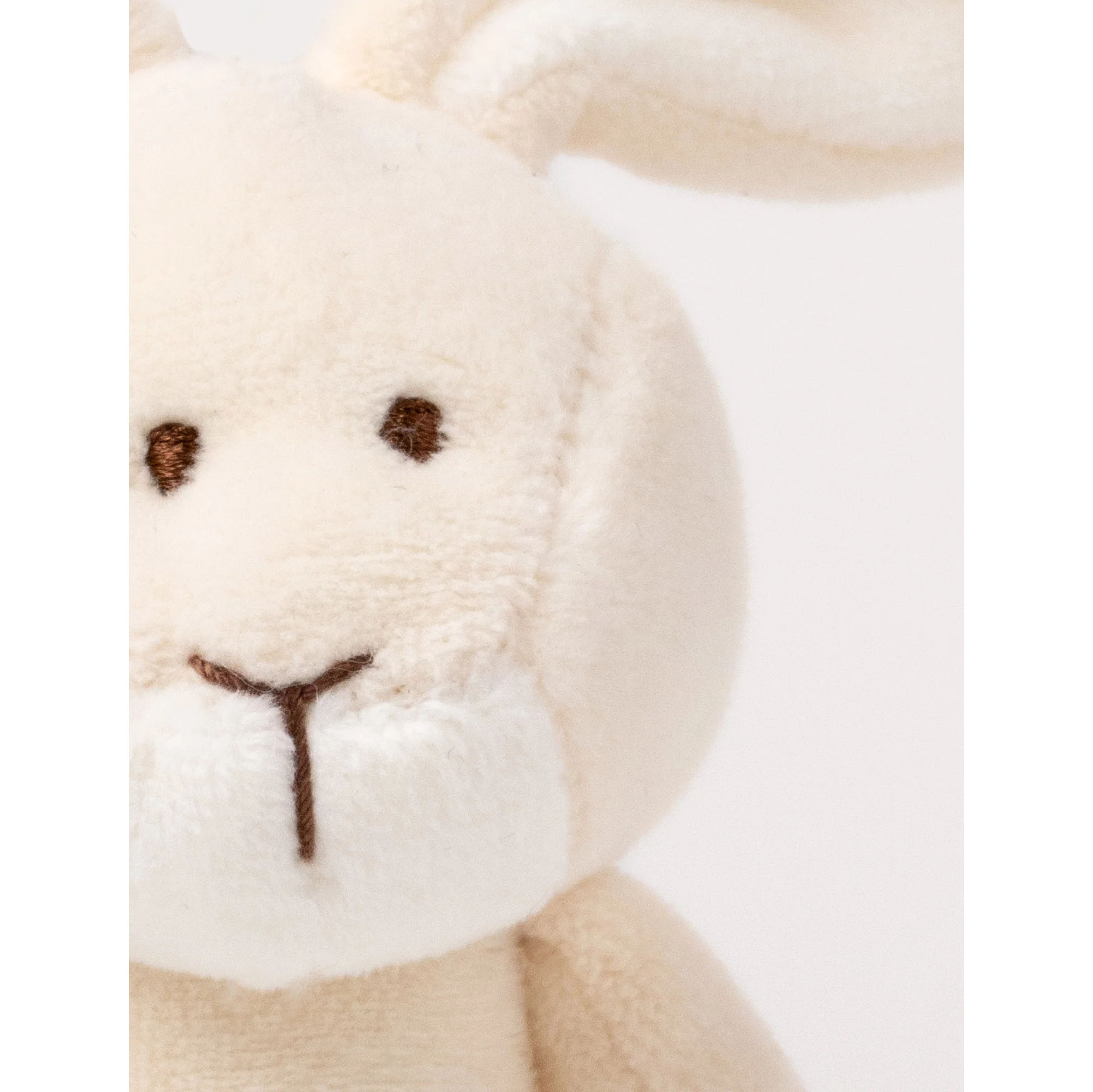 teddy-15442-1
