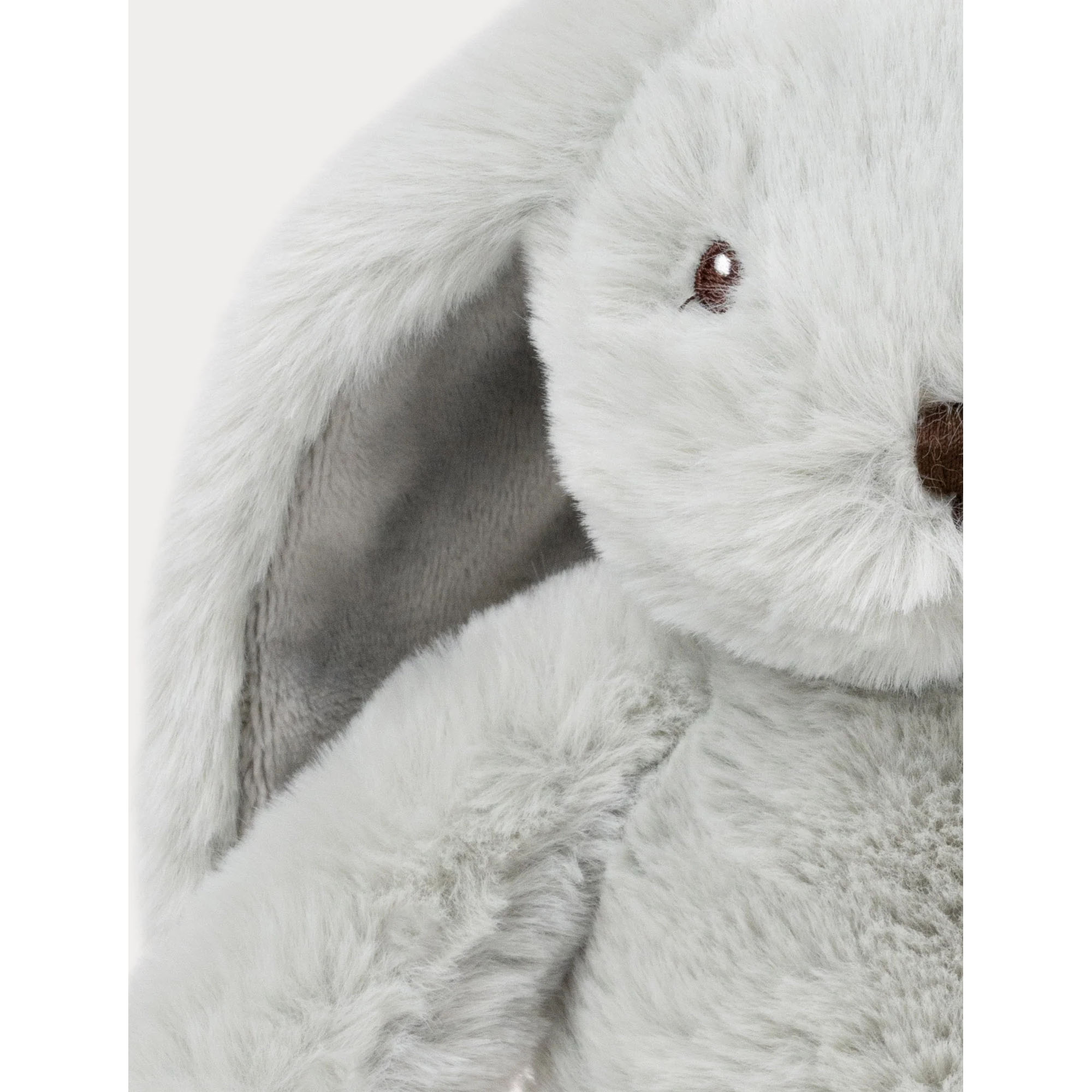 teddy-3043-1