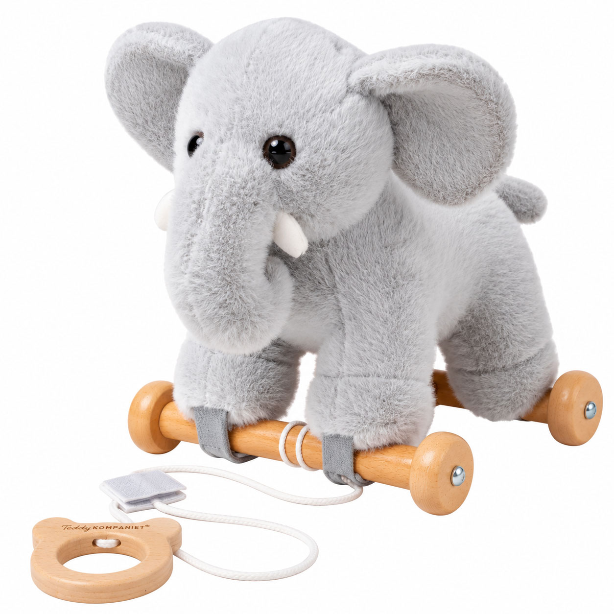 teddy-4330